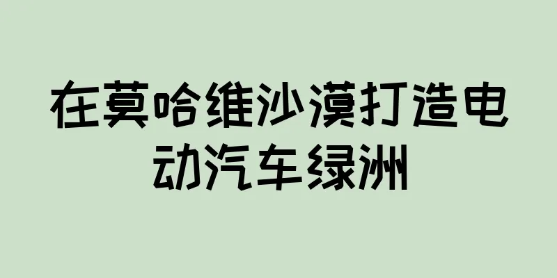 在莫哈维沙漠打造电动汽车绿洲
