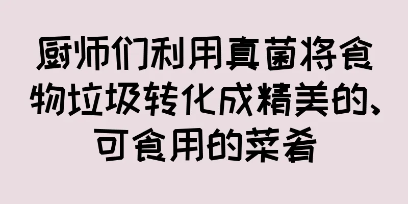 厨师们利用真菌将食物垃圾转化成精美的、可食用的菜肴