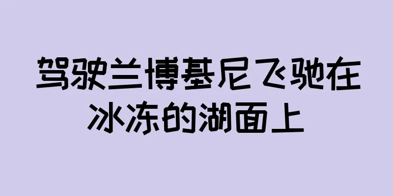 驾驶兰博基尼飞驰在冰冻的湖面上