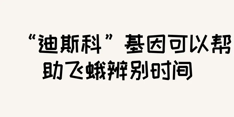 “迪斯科”基因可以帮助飞蛾辨别时间