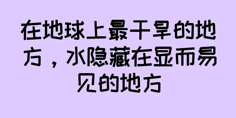 在地球上最干旱的地方，水隐藏在显而易见的地方