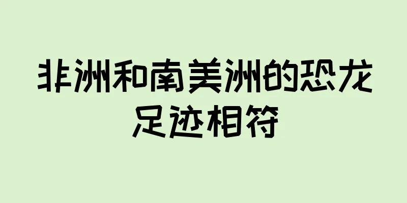 非洲和南美洲的恐龙足迹相符