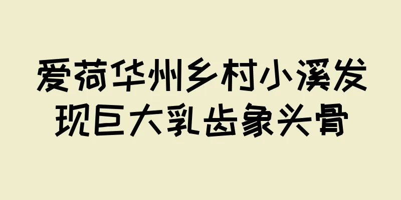 爱荷华州乡村小溪发现巨大乳齿象头骨
