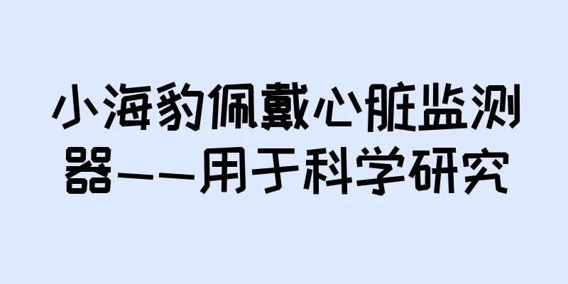 小海豹佩戴心脏监测器——用于科学研究