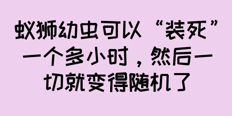 蚁狮幼虫可以“装死”一个多小时，然后一切就变得随机了