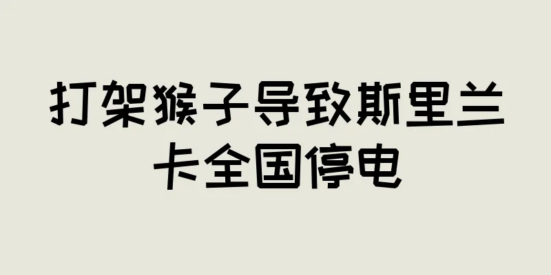打架猴子导致斯里兰卡全国停电
