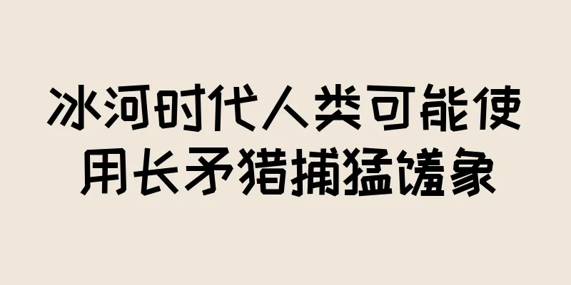 冰河时代人类可能使用长矛猎捕猛犸象