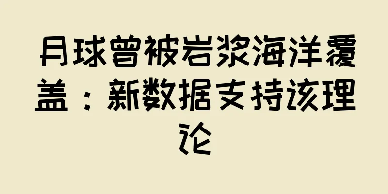 月球曾被岩浆海洋覆盖：新数据支持该理论