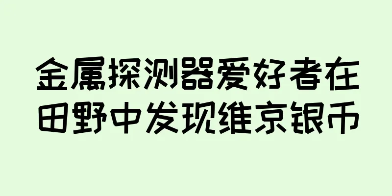 金属探测器爱好者在田野中发现维京银币