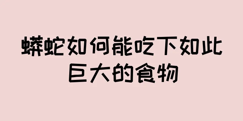 蟒蛇如何能吃下如此巨大的食物