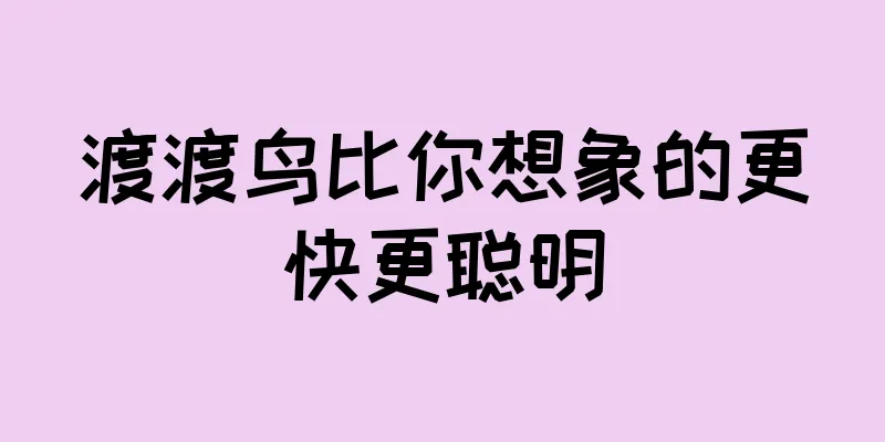 渡渡鸟比你想象的更快更聪明