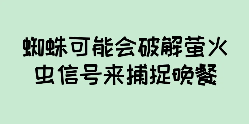 蜘蛛可能会破解萤火虫信号来捕捉晚餐