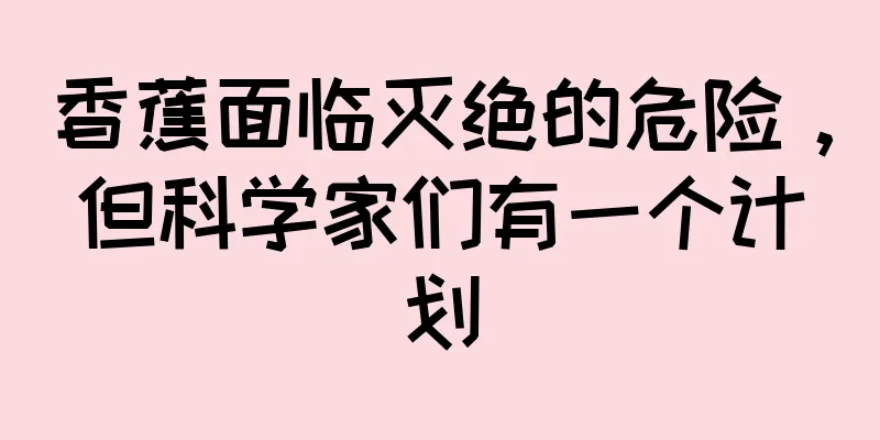 香蕉面临灭绝的危险，但科学家们有一个计划