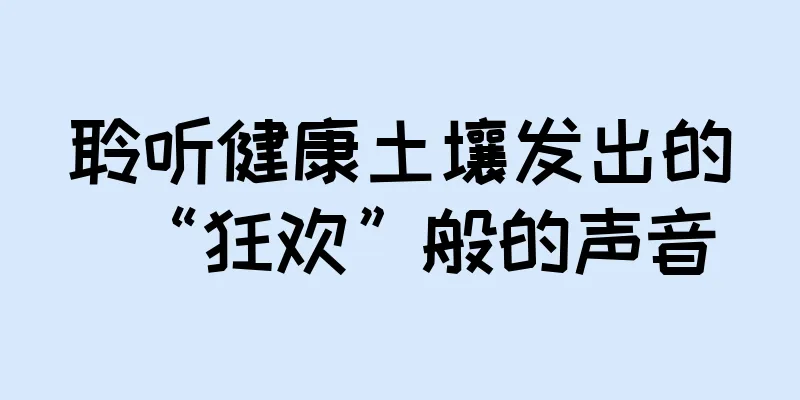 聆听健康土壤发出的“狂欢”般的声音