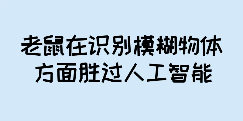 老鼠在识别模糊物体方面胜过人工智能
