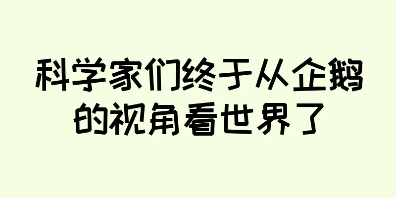 科学家们终于从企鹅的视角看世界了