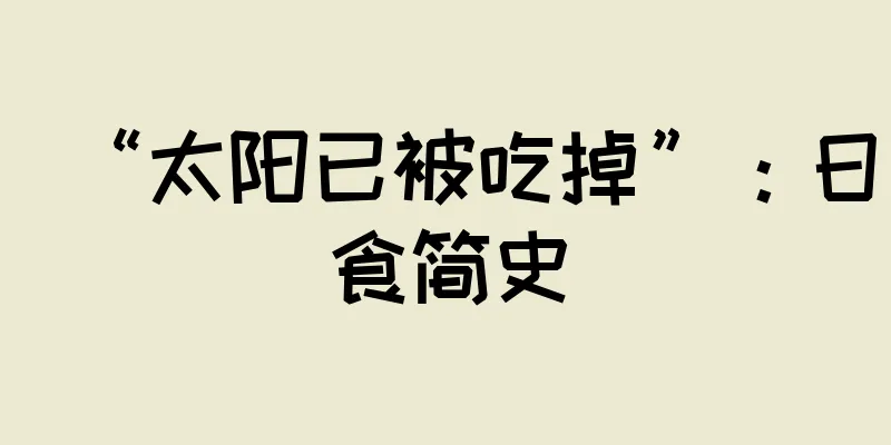 “太阳已被吃掉”：日食简史