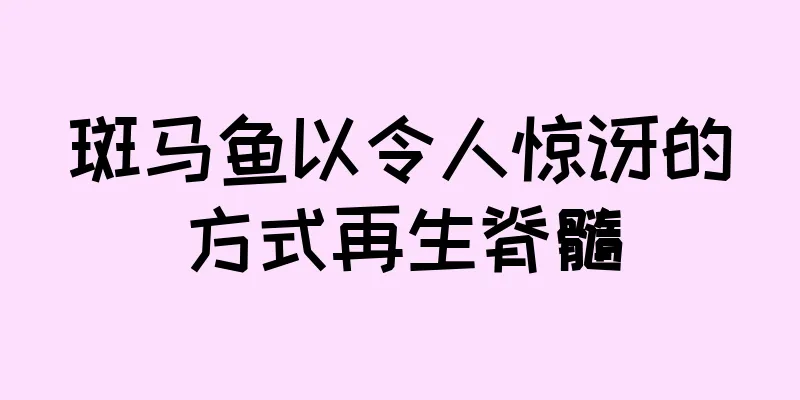斑马鱼以令人惊讶的方式再生脊髓