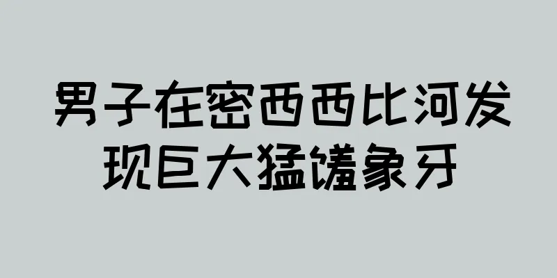 男子在密西西比河发现巨大猛犸象牙