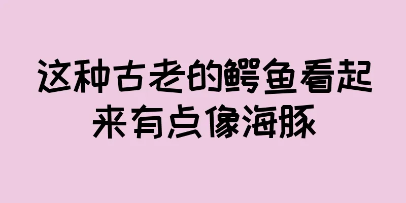 这种古老的鳄鱼看起来有点像海豚