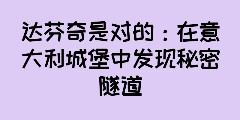 达芬奇是对的：在意大利城堡中发现秘密隧道