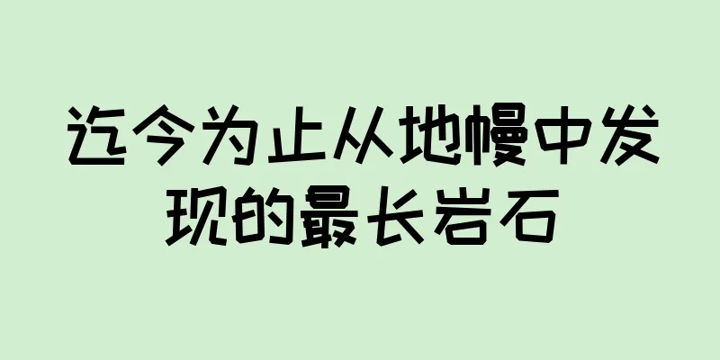 迄今为止从地幔中发现的最长岩石