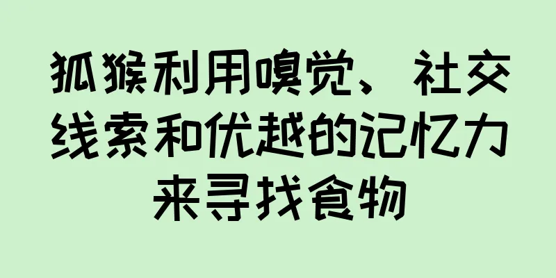 狐猴利用嗅觉、社交线索和优越的记忆力来寻找食物