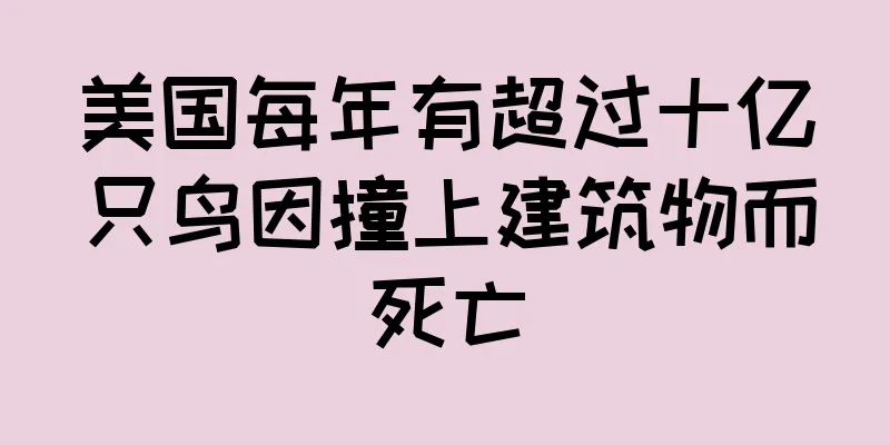 美国每年有超过十亿只鸟因撞上建筑物而死亡