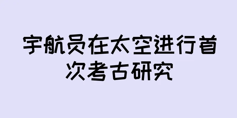 宇航员在太空进行首次考古研究