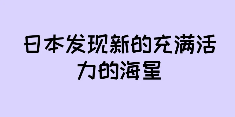 日本发现新的充满活力的海星