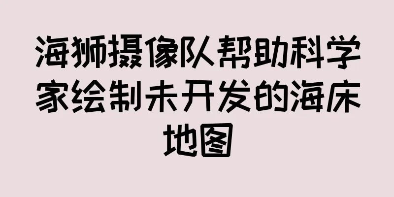海狮摄像队帮助科学家绘制未开发的海床地图