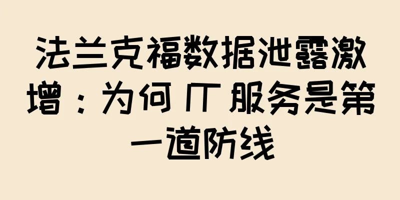 法兰克福数据泄露激增：为何 IT 服务是第一道防线