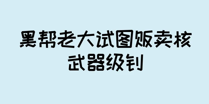 黑帮老大试图贩卖核武器级钚