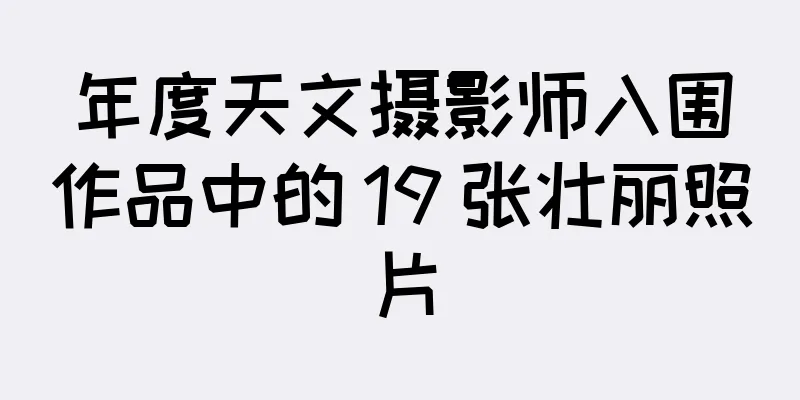 年度天文摄影师入围作品中的 19 张壮丽照片