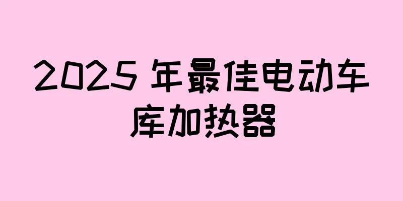 2025 年最佳电动车库加热器