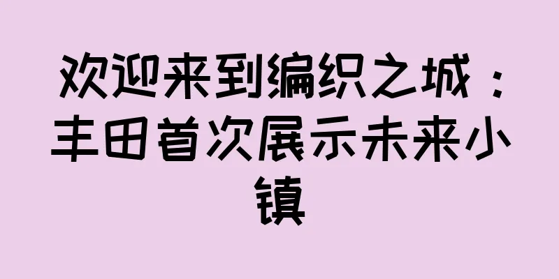 欢迎来到编织之城：丰田首次展示未来小镇