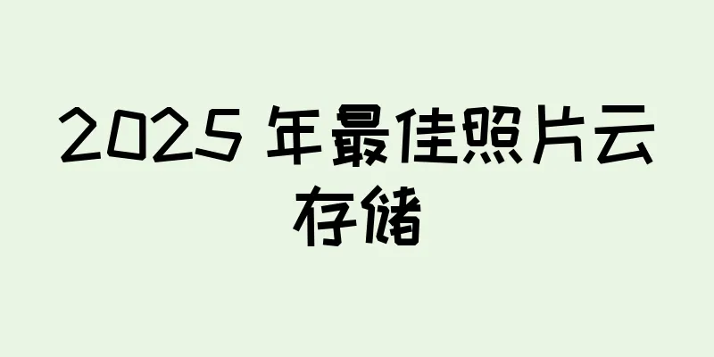 2025 年最佳照片云存储
