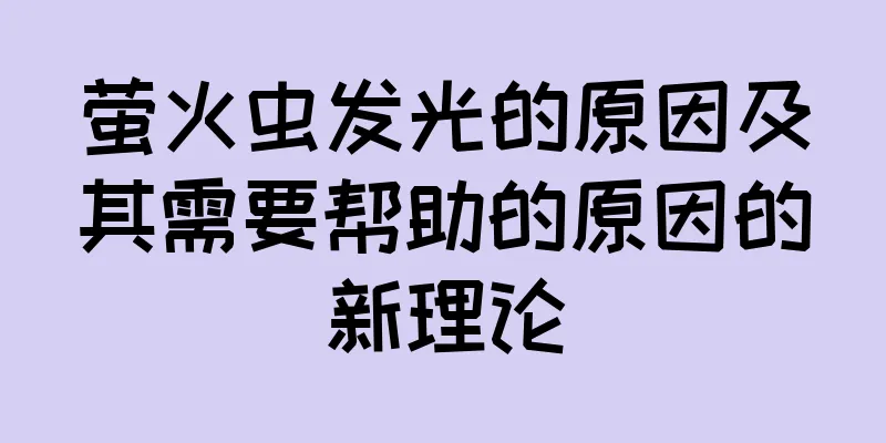 萤火虫发光的原因及其需要帮助的原因的新理论
