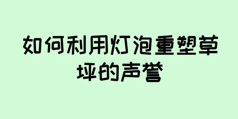 如何利用灯泡重塑草坪的声誉