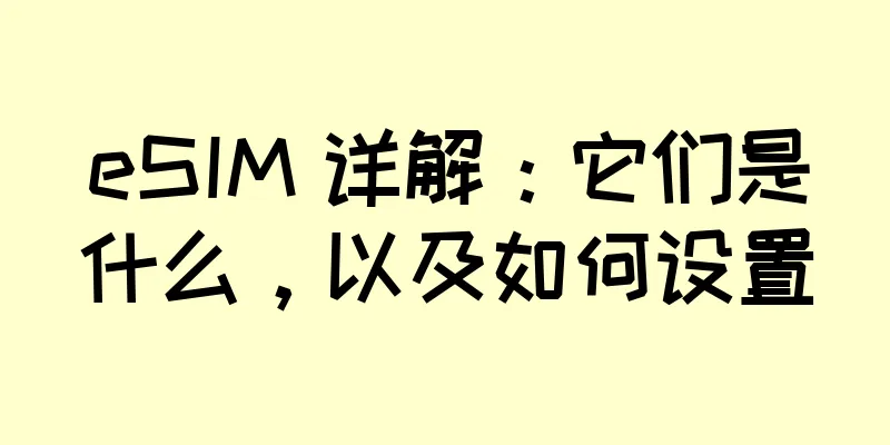 eSIM 详解：它们是什么，以及如何设置