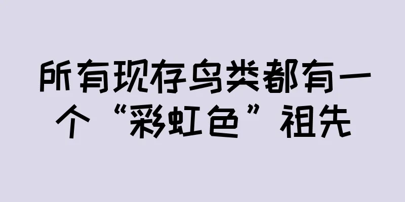 所有现存鸟类都有一个“彩虹色”祖先