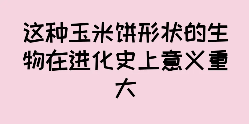 这种玉米饼形状的生物在进化史上意义重大