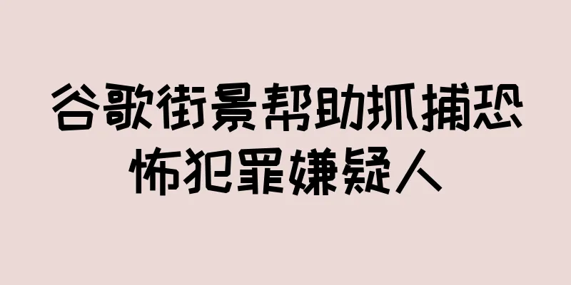 谷歌街景帮助抓捕恐怖犯罪嫌疑人