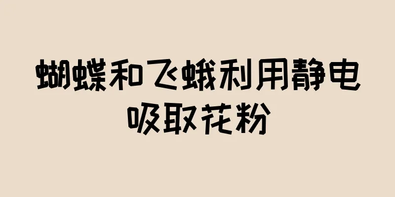 蝴蝶和飞蛾利用静电吸取花粉