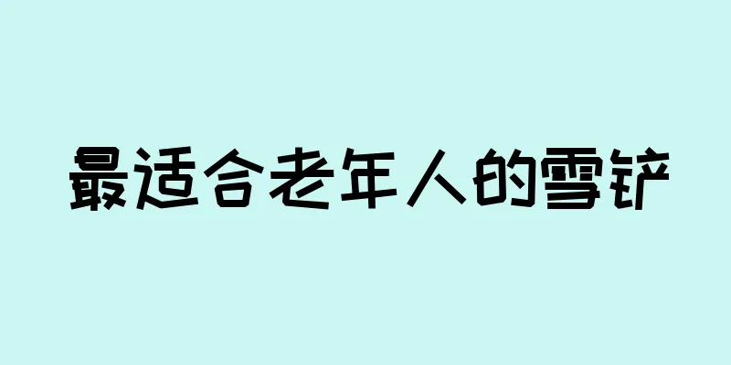 最适合老年人的雪铲