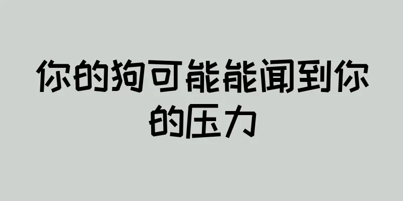 你的狗可能能闻到你的压力