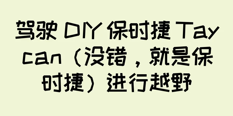 驾驶 DIY 保时捷 Taycan（没错，就是保时捷）进行越野