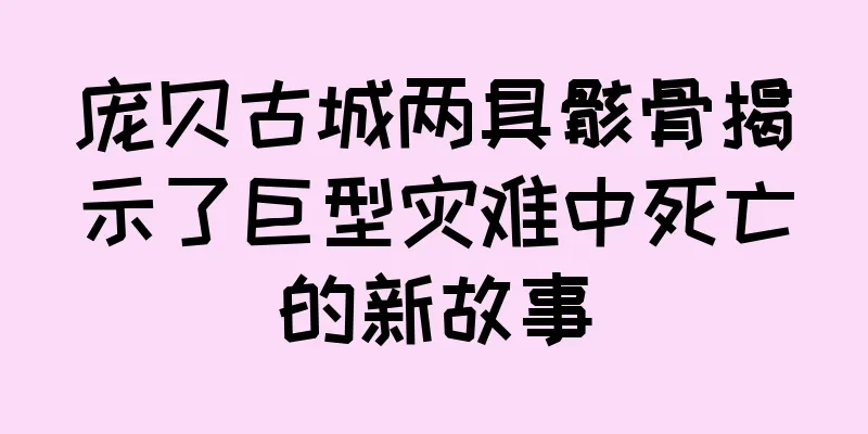 庞贝古城两具骸骨揭示了巨型灾难中死亡的新故事