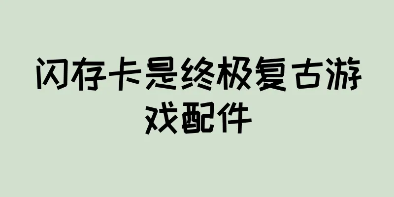 闪存卡是终极复古游戏配件