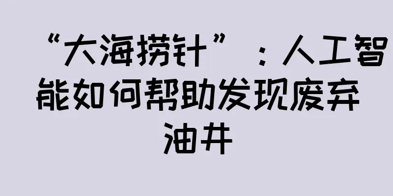 “大海捞针”：人工智能如何帮助发现废弃油井